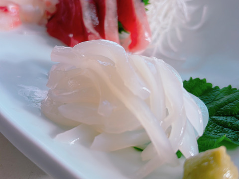 【鮮度抜群】天草・牛深産 釣りアオリイカ（下処理済み・急速冷凍） 700g〜1kg