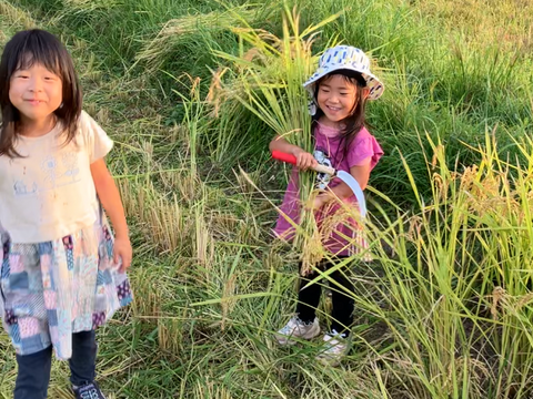 R7年産新米●キヌヒカリ5kg●白米