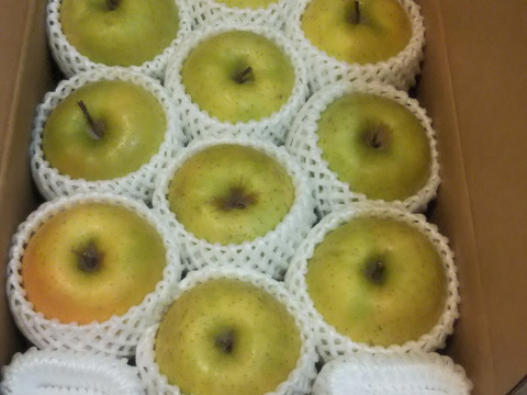 王林好きな方へ【特別栽培/ご家庭用】王林３キロ