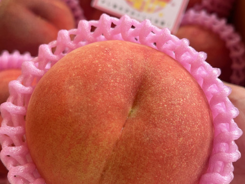 硬め食感高糖度‼️山形県産 陽夏妃【2キロ小玉】