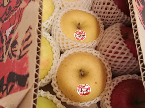 🍎🍏人気の3種🍎🍏定番ふじ・人気のぐんま・貴重なはるか　美味しい3種ミックス🍎贈答用３キロ【冬ギフト】