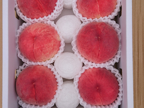 【特秀品】【朝どれ】2025年先行受付　硬くて甘い山梨の桃　おさだ農園のおすすめ2㎏（5～6玉）　喜びをつなぐ『縁』　7月上旬より順次発送