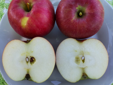 【夏ギフト】【夏あかり３ｋｇ】甘くて硬い味の濃い、日保ちする夏りんご。皮ごと食べられ、キャンプや夏山登山のおやつに最適！