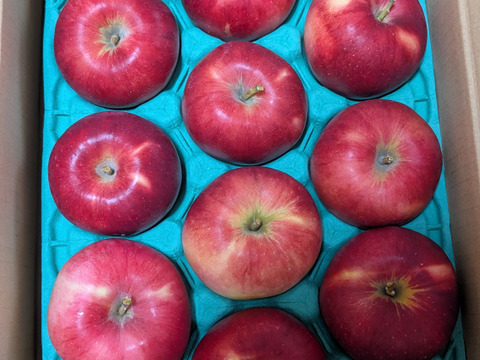 発送中終わります🍎🏃‍♀️【幻の小玉第1弾】シナノプッチ3キロ箱