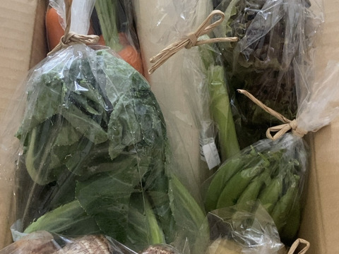 自然栽培野菜一人暮らしの方にオススメセット【7〜9 種類】