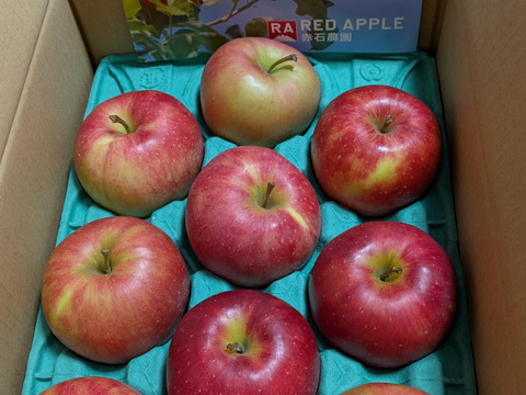 葉とらずジョナゴールド もぎたてはひと味違う！ 家庭用 2.5kg (6〜13個)