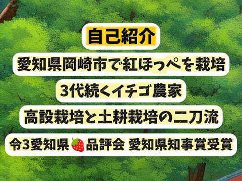 満足！″新【冷凍イチゴ】１kg