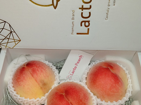 【7月発送！限定30箱】乳酸菌で大切に育てた特別な桃《プレミアムブランド》ラクトピーチ 2kg 【ギフト】【贈答用】【夏ギフト】化粧箱でお届け！農園から直送