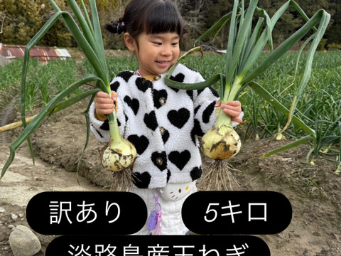 【訳あり】淡路島玉ねぎ！5キロ
人気ナンバー1商品