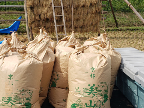 大嘗祭の献上米❗南丹市美山町のキヌヒカリ❗【玄米5キロ】
