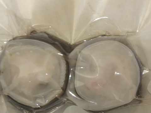 鱧骨切り1匹300～500㌘×2匹