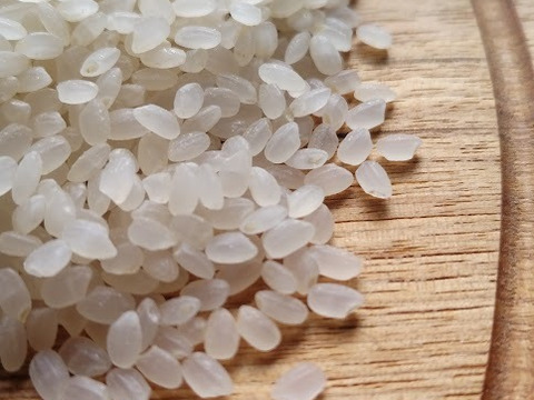 【新米】農薬化学肥料不使用　信州伊那谷★コシヒカリ(白米)2025年産・10㎏