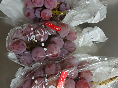 感動の新品種【山梨県かつぬま産】”極甘” 種無しクイーンニーナ 1.2kg