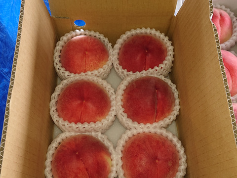 【朝どれ】2025年先行受付 山梨の桃　おさだ農園のお裾分け1.8㎏（6～7玉）　夏を味わう『実』