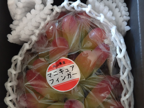 特秀品】超希少！岡山産マニキュアフィンガー 1房｜新鮮直送