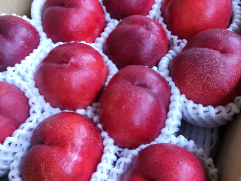 甘酸っぱくてジューシー！ネクタリン『メイグランド』(秀品約3㎏)【お中元対応可】