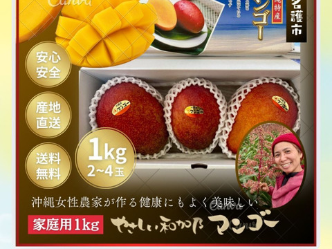 【数量限定】芳醇な香り沖縄完熟マンゴーご家庭用・1kg