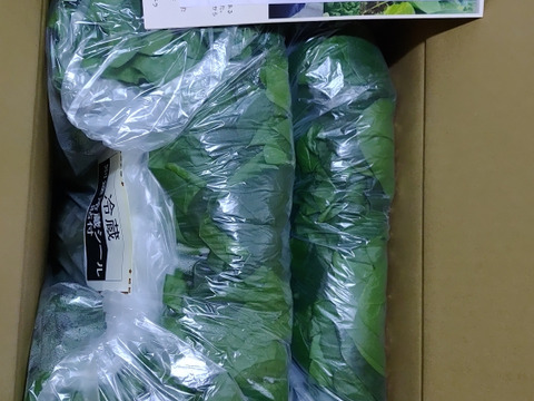 おまかせ。バラ詰め。魂のほうれん草3kg（大きな袋に3kg）