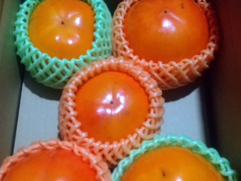 【希少】九度山の富有柿★★
目立たない傷が少し付いた商品です。
(Ｌサイズ以上の詰め合わせ４～６個入り) (約１、５kg)【除草剤不使用】【農薬４～５割節約栽培】