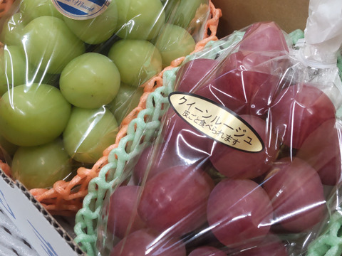 長野県産 「クイーンルージュ」「シャインマスカット」 2房入り 合計1000g