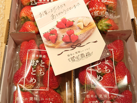 【食べチョク限定】摘みたて直送！とちぎのいちご3種詰め合わせセット（4パック）（1kg以上）