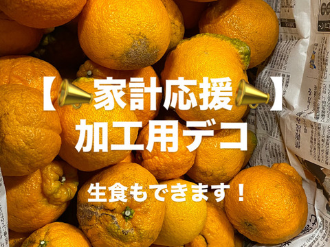 【大特価】加工用デコ　9キロ