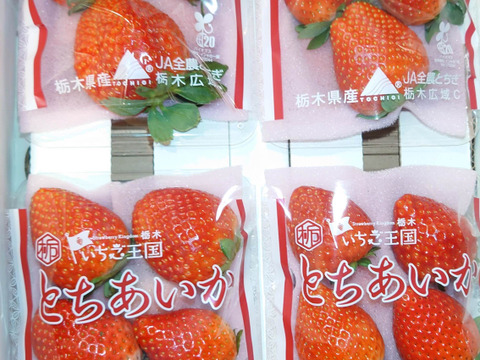 (4P)約1kg【いちご・とちあいか】実がしっかりして酸味が少なく甘さが際立つ新品種★「とちあいか」(４パックx260g) 栃木県産いちご●一番人気いちごセット●お届け日指定可