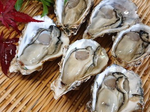 牡蠣祭りじゃ～🦪【生食用】生牡蠣 むき身 300ｇ×3袋「熨斗対応可」