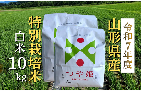 【令和7年度新米】特別栽培米つや姫10kgふっくらつやつや【冬ギフト】