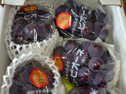 家庭用ピオーネ2㎏箱（4房～6房）（クール便対応）　（商品コード；　PIONE20B-C）