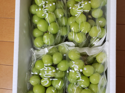 家庭用、訳ありシャインマスカット2㎏（4~5房）：山梨県産の