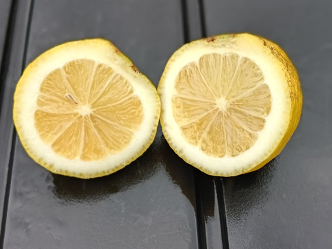 果汁4kg【果汁用】【訳あり】【完熟】【栽培期間中農薬不使用】大崎上島レモン4㎏