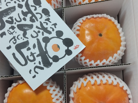 【冬に食べる】幻の柿 次郎柿！木成り完熟の逸品12個化粧箱入り（3ｋｇ）