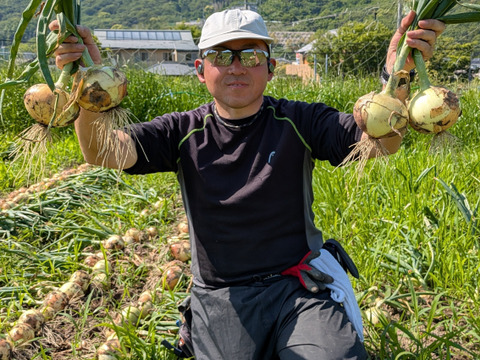 《自然栽培・食品ロス》淡路島産  人に優しい玉ねぎ「十玉十色」２ kg 【2020年最優秀賞受賞／2022年SDG'sエバンジェリスト認定取得】
