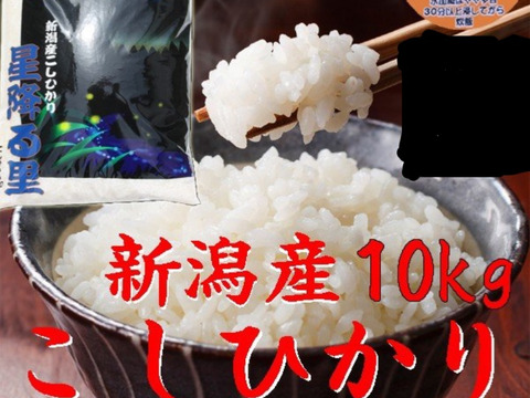 コシヒカリ 10kg 無洗米 令和二年産