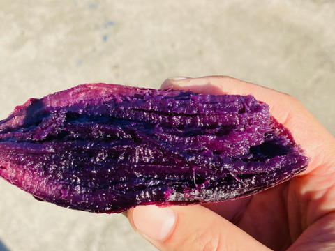 小芋　ふくむらさき 5kg