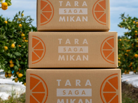 果汁たっぷり！！食べてみらんね太良みかん
3㎏（Lから2S家庭用約30個)