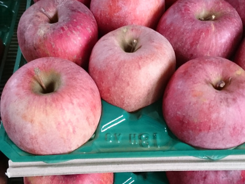 節減対象農薬：当地比5割減栽培、化学肥料除草剤不使用　長野りんご　サンふじ　5キロ