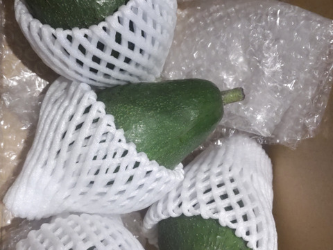 国産「島アボカド」約1kg