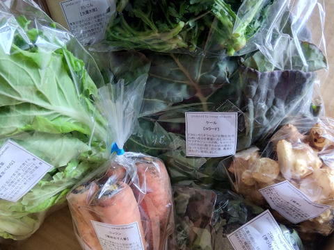 採れたて！季節の野菜セットSサイズ(固定種野菜・農薬不使用)