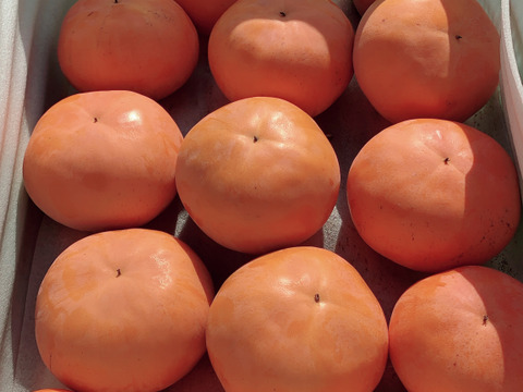 鳥取県新品種 柿「輝太郎」家庭用 3kg