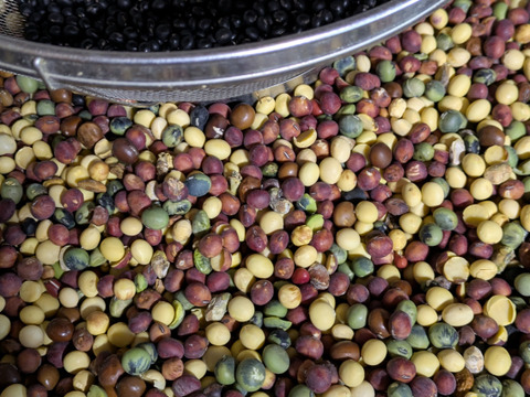 [農薬・化学肥料・除草剤不使用] 玄米豆もち(400g×2袋)