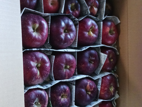 数量限定！訳アリ規格外！信州麻績村産の秋映5kg