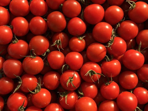 【糖度と旨味を凝縮！】👑こだわり👑アザミュートマト🍅3kg