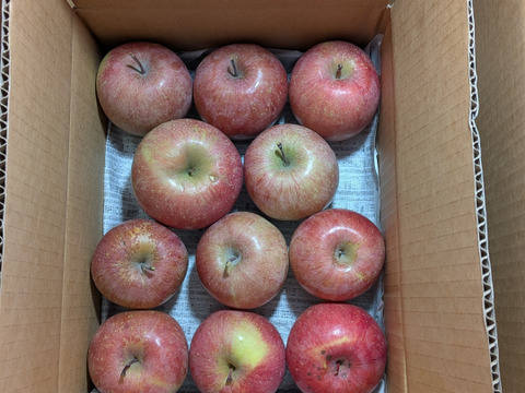 野菜類と果物のセット