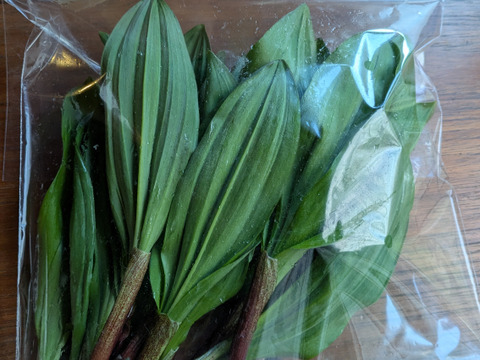 春限定山菜の王様】 北海道産行者ニンニク300g】：北海道産の