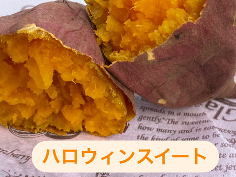 ★11/23まで1,000円引き★壺焼き芋アソート2品種1kgセット