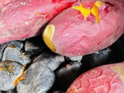 あまはづき　5kg 栽培期間中、農薬、化学肥料不使用