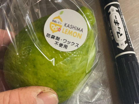 潮風育ちの太陽の恵み！【鹿嶋産】レモン・ビアフランカ