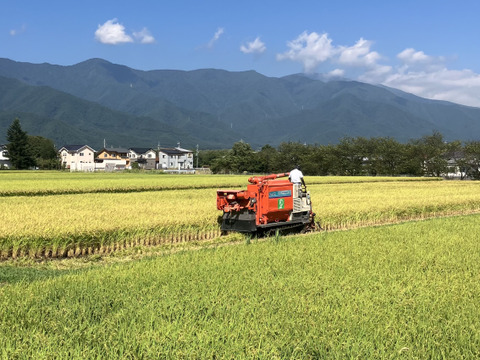 【令和７年産】低農薬栽培米　コシヒカリ　玄米　3kg　贈答用